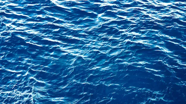 O sucesso na conquista do espaço está no fundo do mar