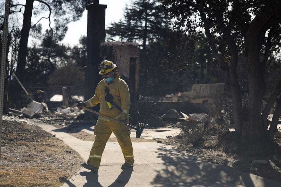 'A casa queimou, mas as árvores não.' As mudanças climáticas não são o 'bode expiatório' para os incêndios em Los Angeles.