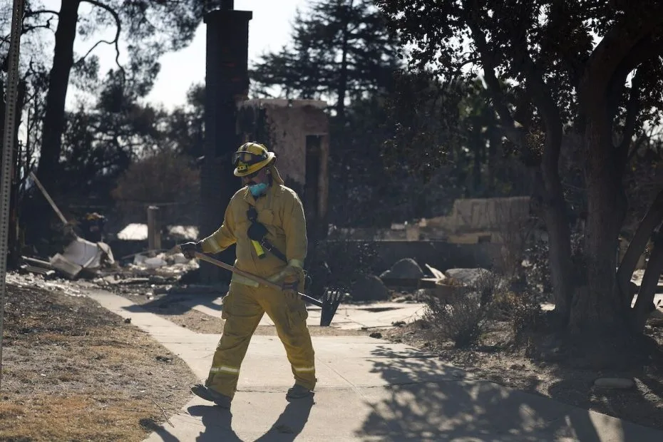 'A casa queimou, mas as árvores não.' As mudanças climáticas não são o 'bode expiatório' para os incêndios em Los Angeles.