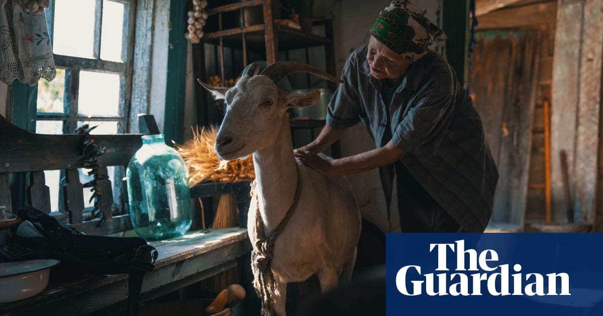 'Animals can feel good and evil': Film offers new perspective on war in Ukraine Ukraine