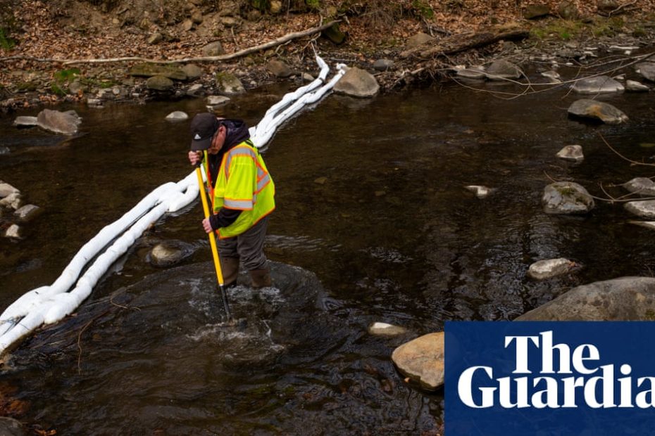 'I applaud the EPA': Agency launches formal review of five toxic chemicals EPA