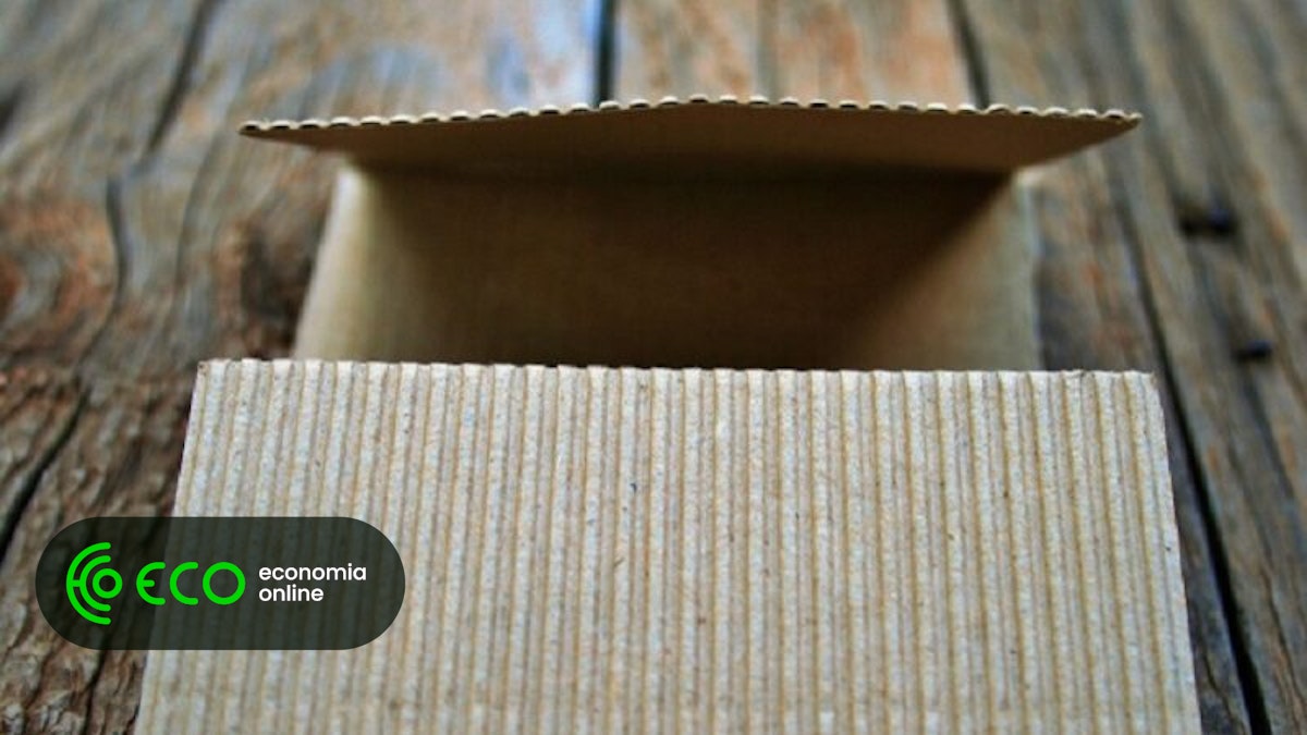 A Owal Cardboard Factory encontrou novamente a “corrupção” em grandes transações internacionais