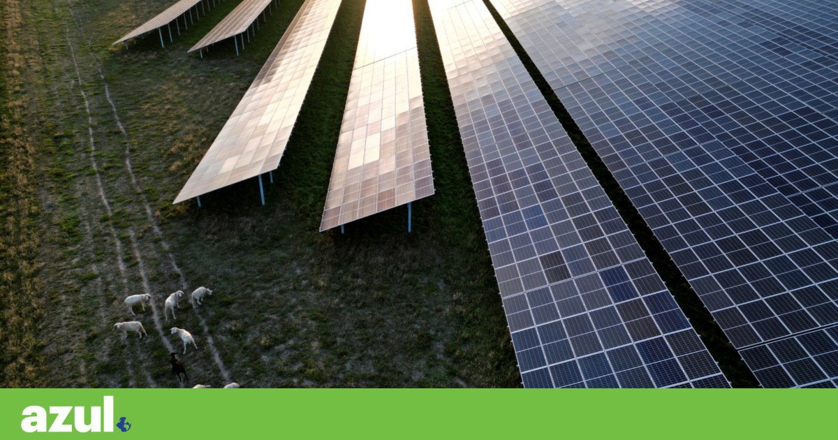 A energia solar da UE ultrapassa o carvão pela primeira vez |