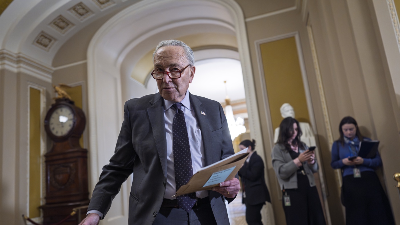After big losses in 2024, Democrats look for new direction: NPR