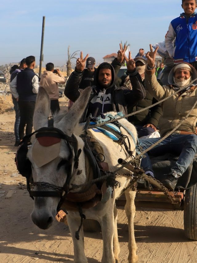 After ceasefire in Gaza takes effect, Palestinians struggle to return home through ruins