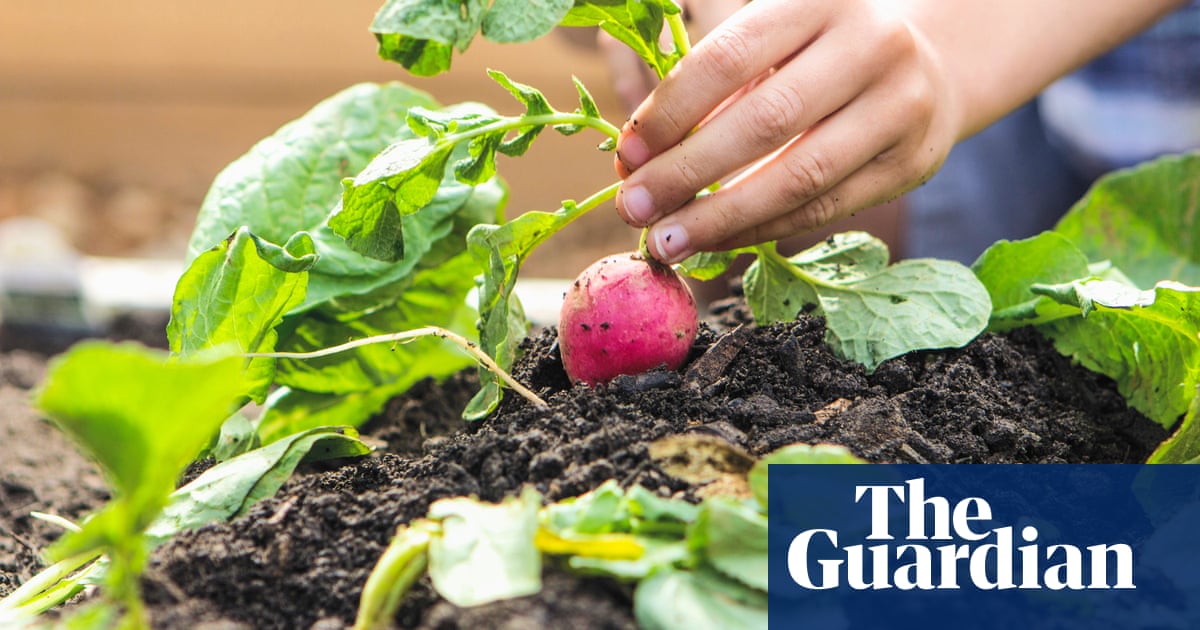 Agricultural products in home gardens near the American PFAS factory include chemicals that are dangerous levels | North Carolina
