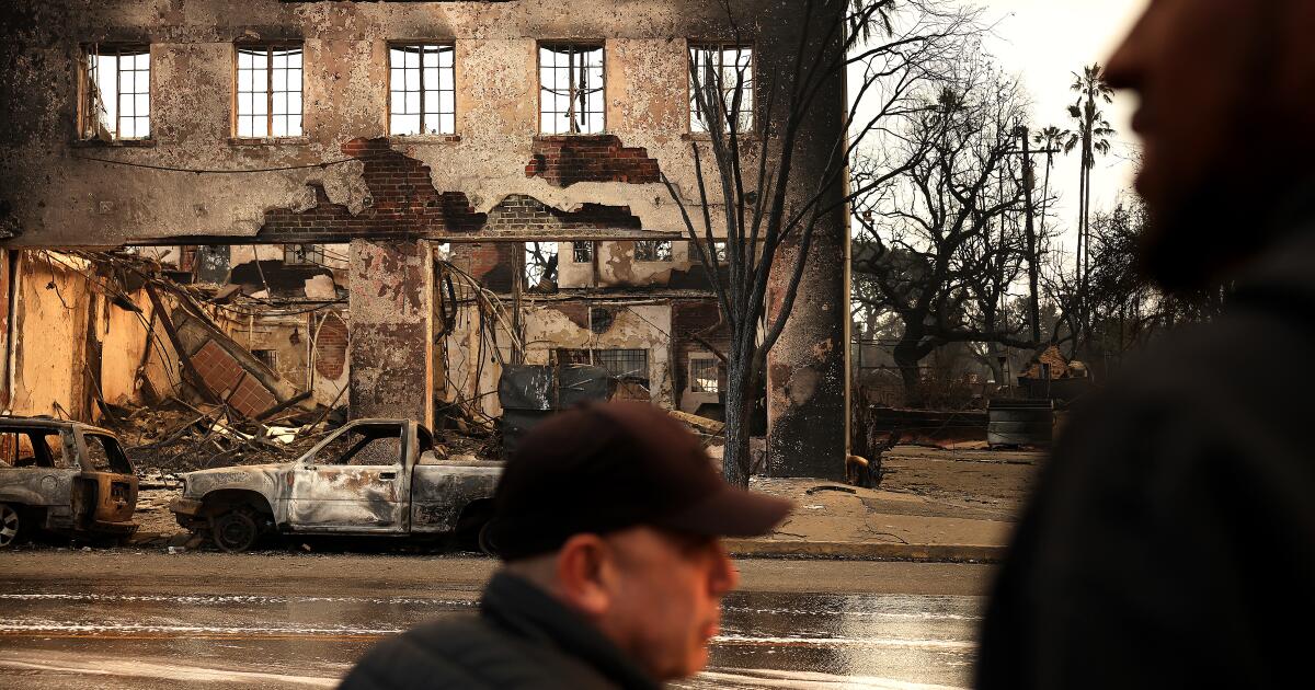 Altadena artist devastated by Eaton Fire vows to rebuild
