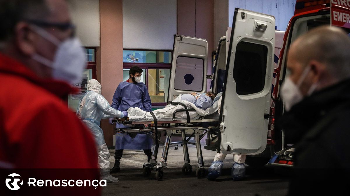 Amadora-Cintra contesta relatório e garante capacidade para formar médicos