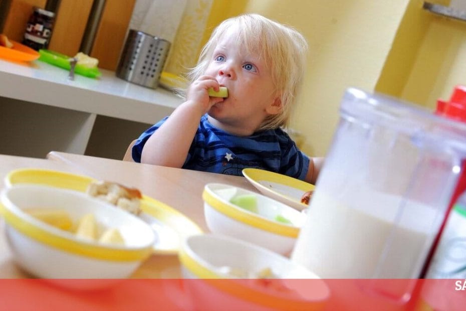 Apenas 4% das crianças comem vegetais e sopa nas refeições principais - Ciência e Saúde