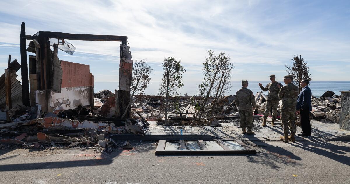Army Corps of Engineers surveys damage to Palisade, Eaton fires