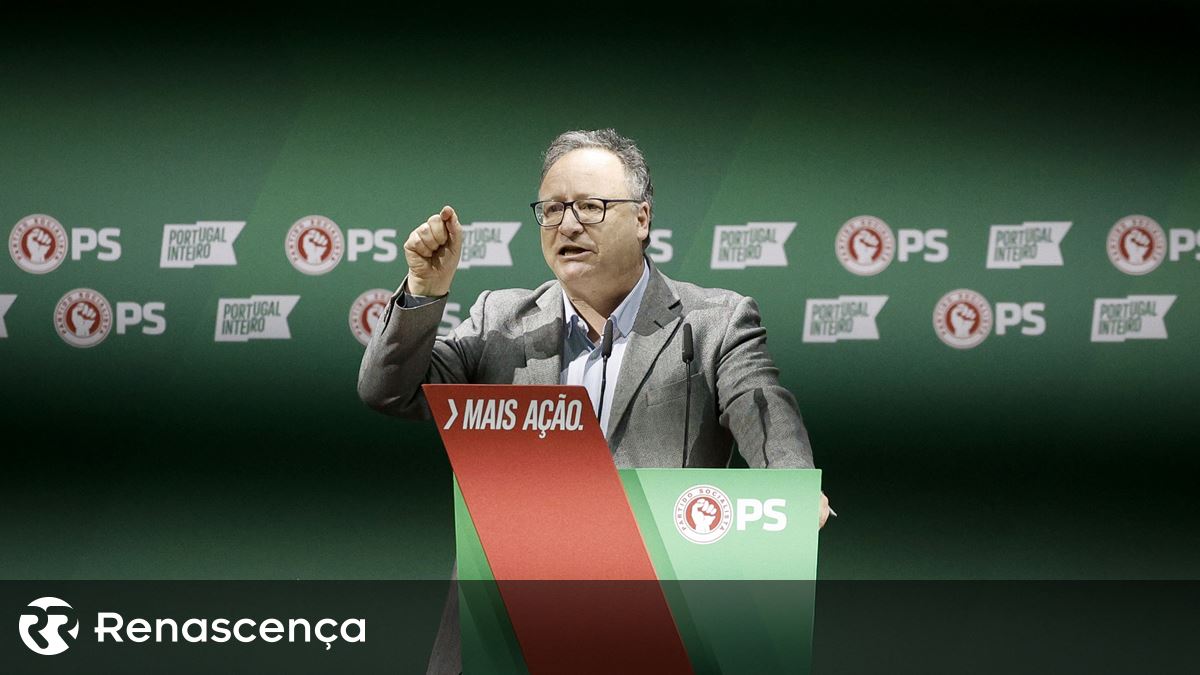 Assis disse que houve uma campanha organizada dentro do Partido Socialista para impedir que Seguro se candidatasse