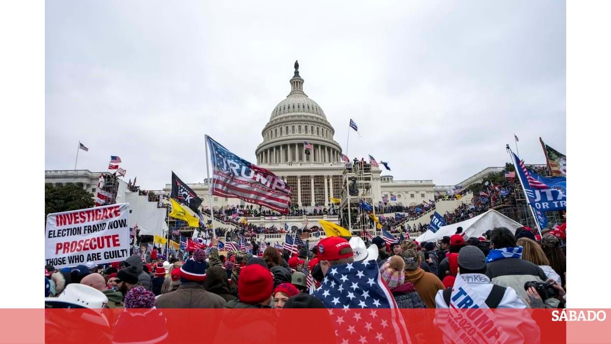 Avó ‘MAGA’ que não quer que Trump perdoe nada – O Mundo