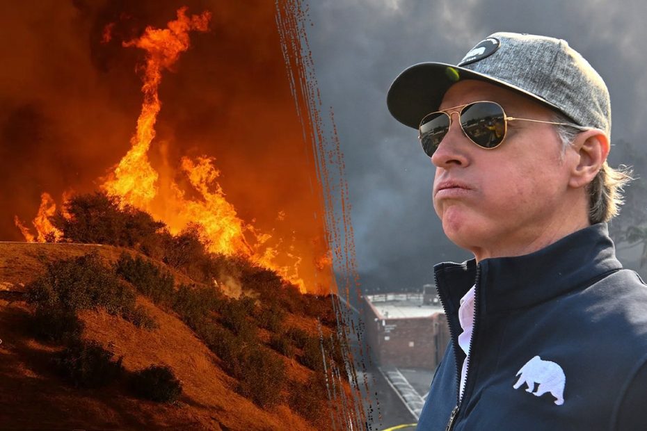 California Governor Gavin Newsom criticizes Los Angeles wildfire response