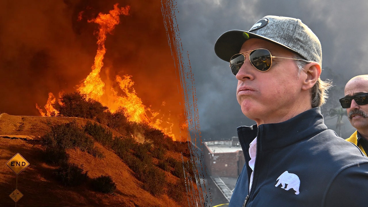 California Governor Gavin Newsom criticizes Los Angeles wildfire response