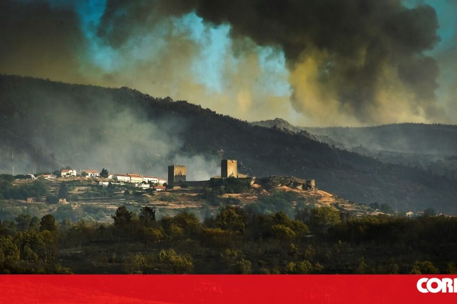 Casas bem protegidas podem tornar-se locais seguros contra incêndios florestais - Sociedade