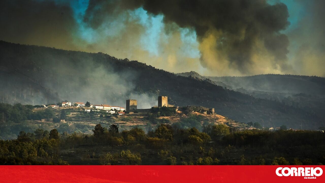 Casas bem protegidas podem tornar-se locais seguros contra incêndios florestais – Sociedade