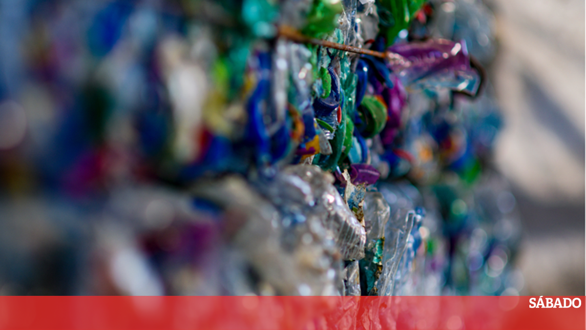 Cascais reduz geração de resíduos indiferenciados e aumenta reciclagem – comunicado de imprensa