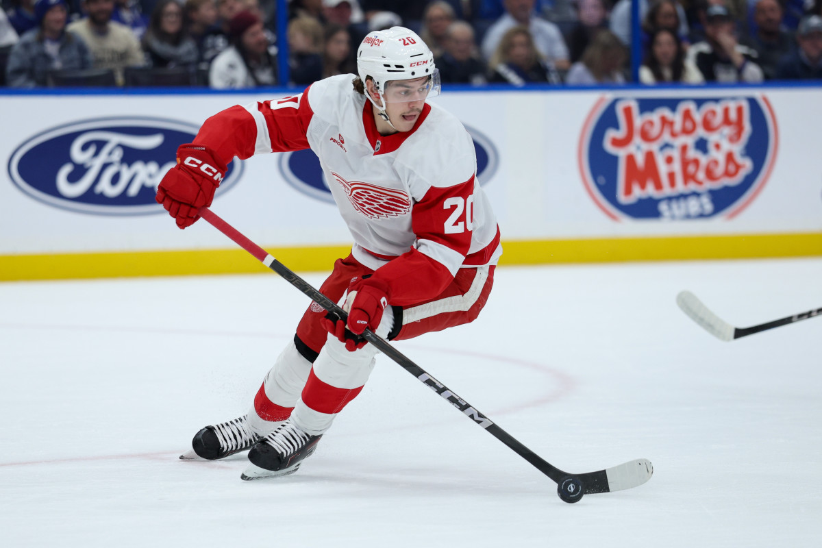 Coach of the Red Wing team revealed the biggest surprise during the term of office
