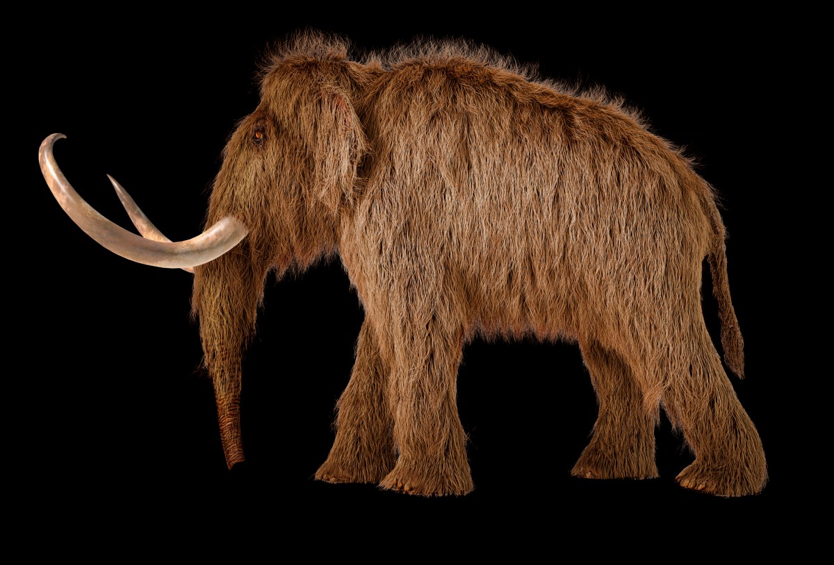 Colossal Biosciences raises $200M at $10.2B valuation to revive Mammoth