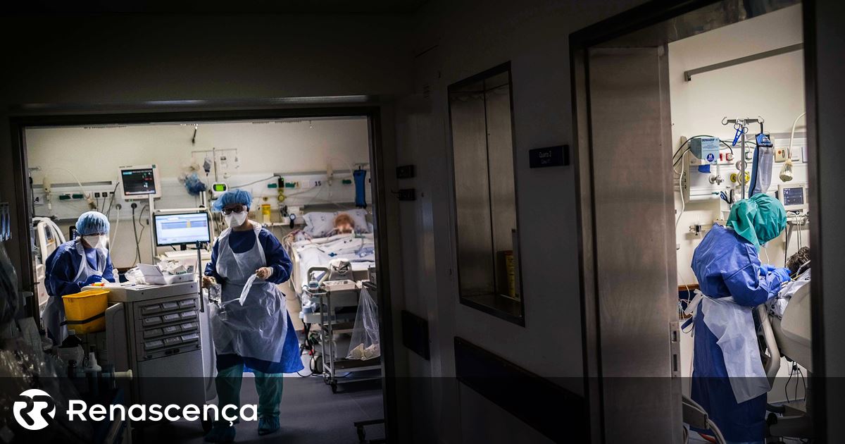 Comissão de ética recomenda que objectores de consciência notifiquem as autoridades de saúde