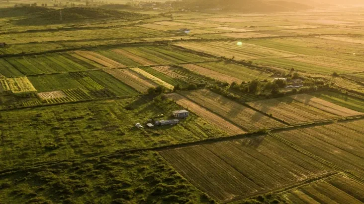 Conselho Nacional do Ambiente dá parecer negativo sobre alterações na legislação fundiária
