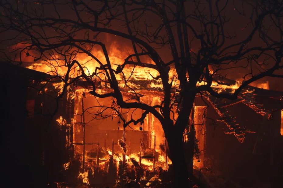 Could better brush clearing help slow Palisades fires?