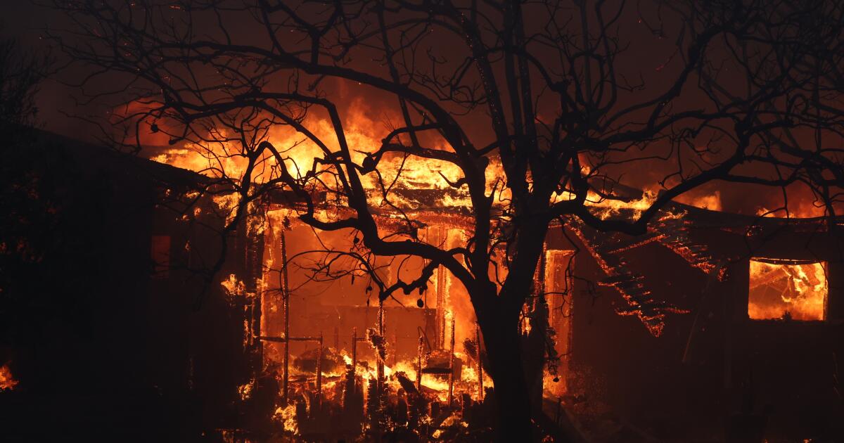 Could better brush clearing help slow Palisades fires?