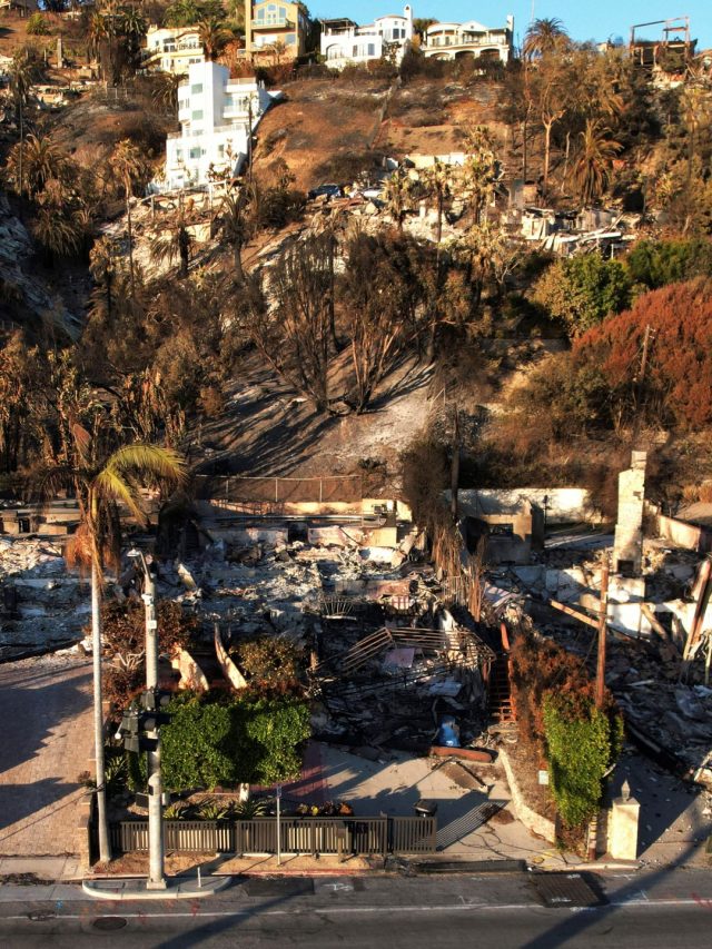 Day 10 of Los Angeles wildfires: What's the latest? How can you help? |Environmental News