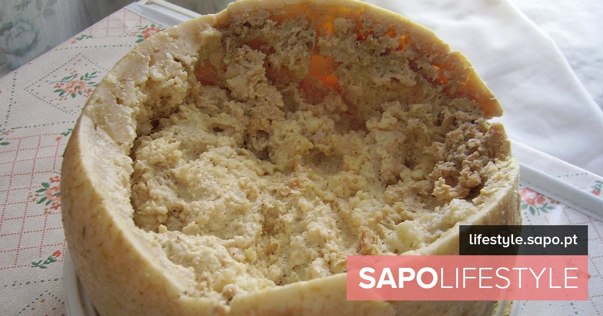 Delicioso para alguns, intragável para outros. Casu marzu, um queijo comido com larvas vivas – Notícias