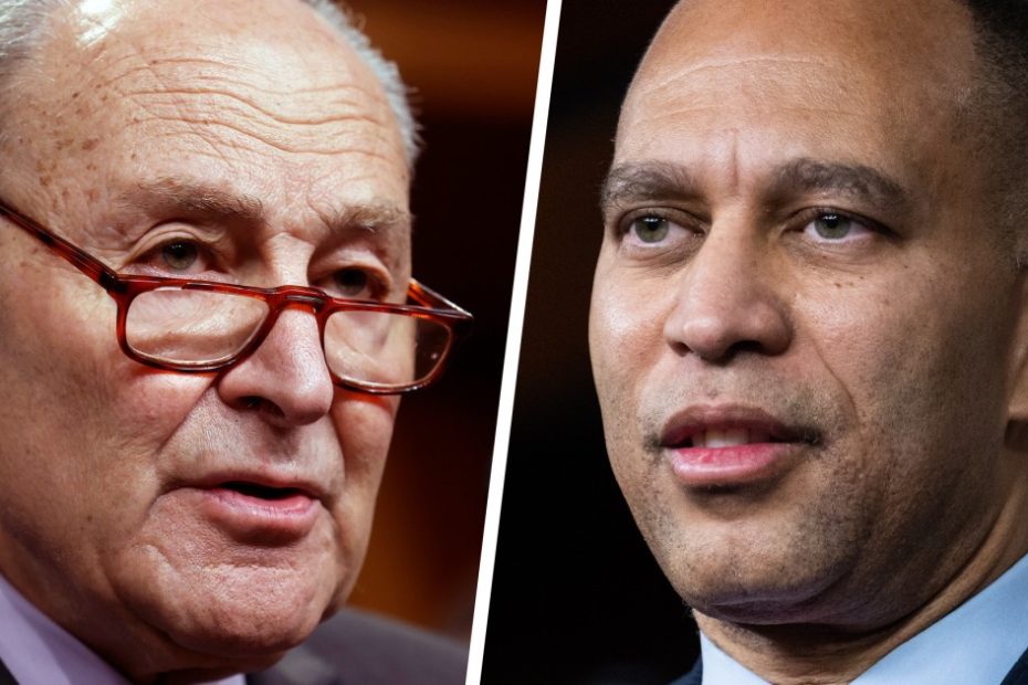 Democrats found their voice and Trump's federal funds frozen