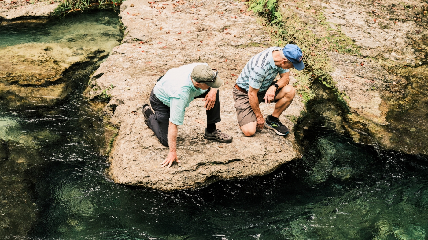 Development taking a toll on Florida's precious springs: NPR