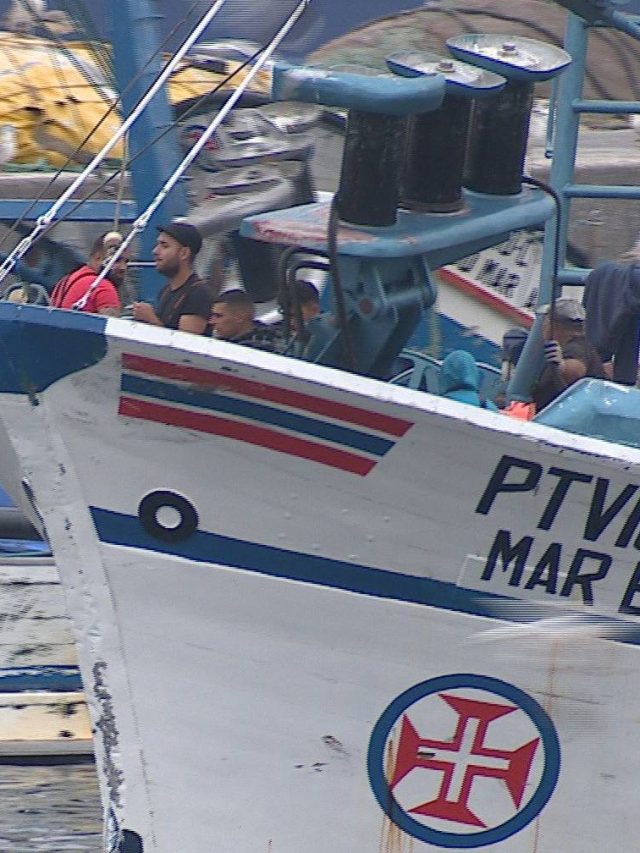 Estudo mostra que Portugal pratica pesca de fundo em áreas vulneráveis ​​proibidas