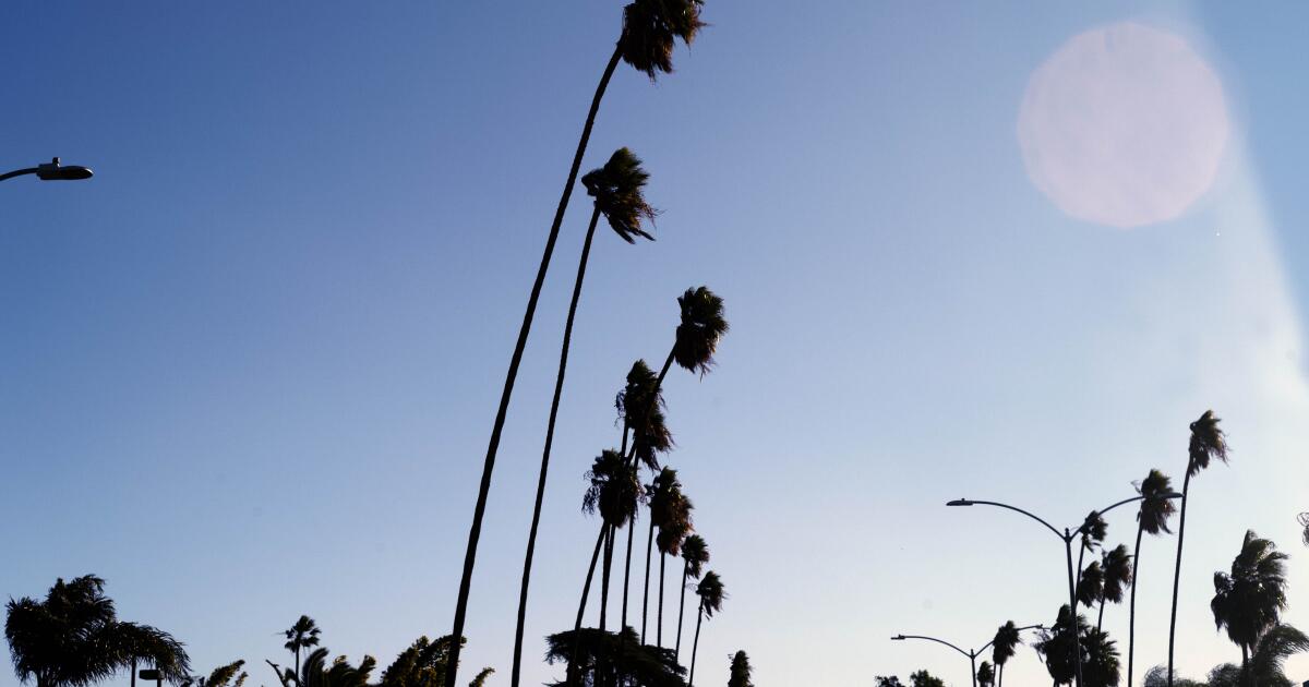 “Exceptionally” dry conditions in Los Angeles make the risk of new fires high. urgent need for rain