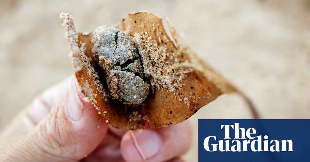 Fatty hills closing Sydney's northern beaches contain faeces, latest tests show