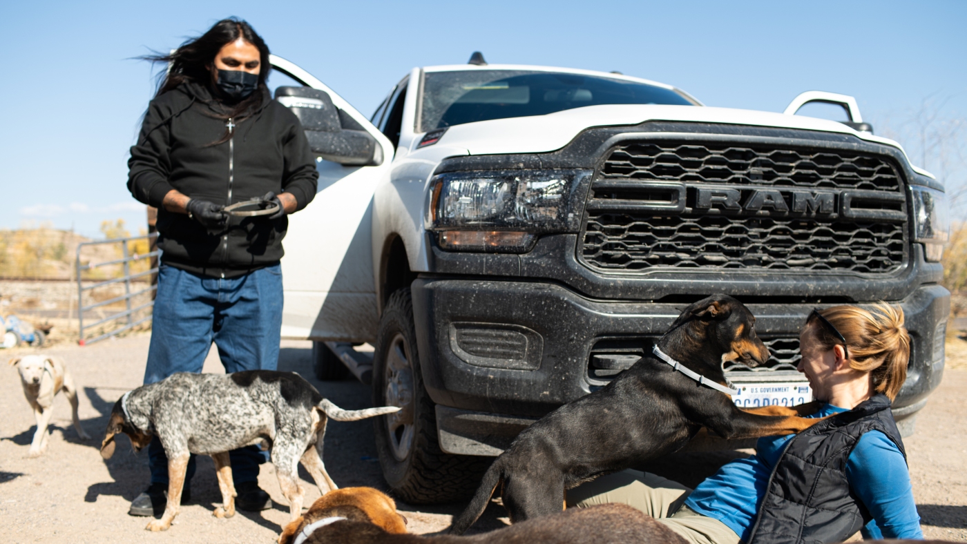 Fighting Rocky Mountain Spotted Fever, and the ticks that cause it, in Arizona : Shots