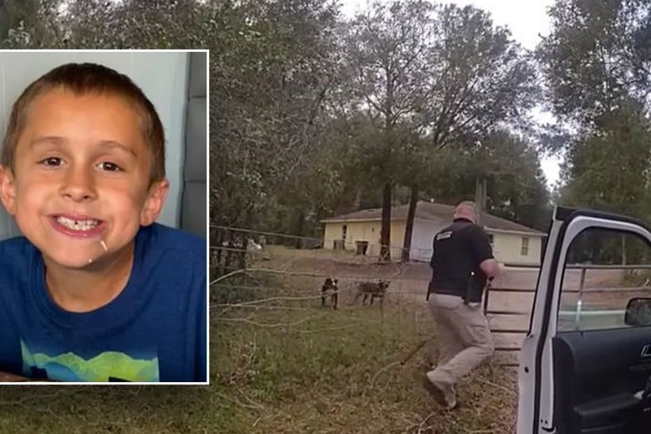 Florida boy, 8, fatally 'viciously bitten' by dog ​​he stopped to pet while riding bike: Sheriff