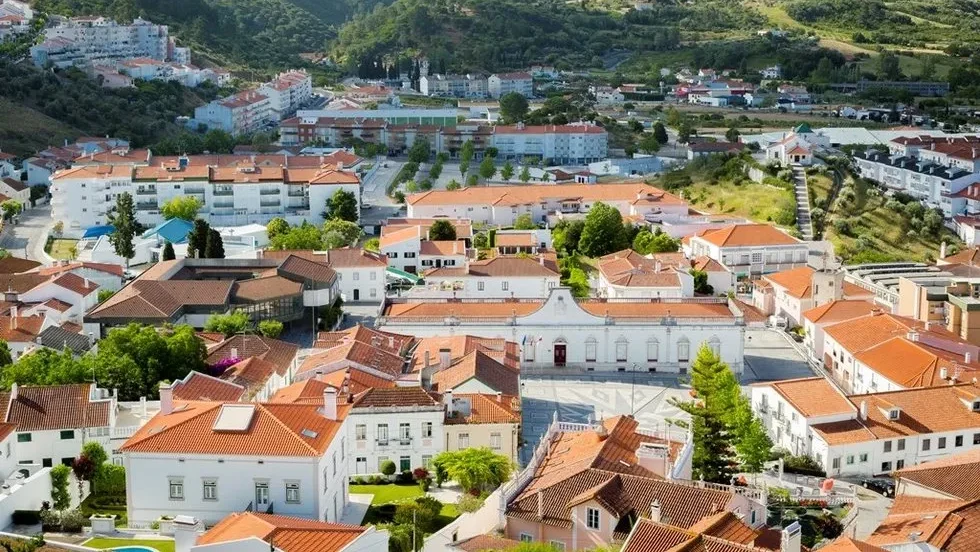 Fóssil de leopardo das neves descoberto em Portugal revela segredos das espécies