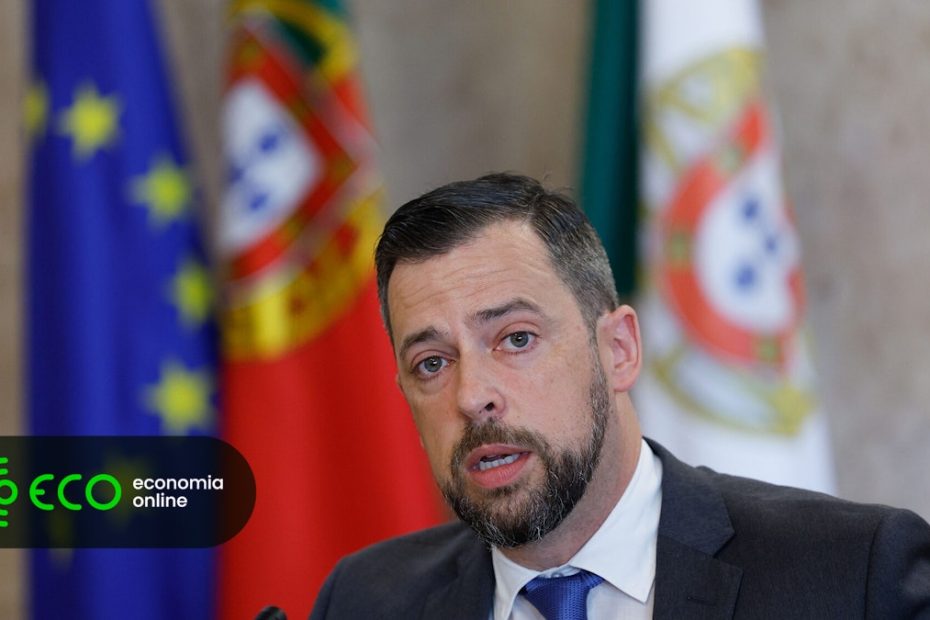 Gandra d’Almeida demite-se do cargo de diretora executiva do SNS