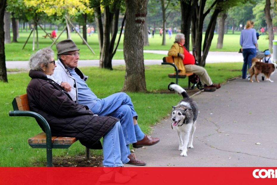 Governo gasta 4 mil milhões de dólares para reforçar reservas de pensões - Economia