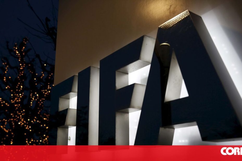 Grupo de direitos dos animais diz que Marrocos pode abater 3 milhões de cães antes da Copa do Mundo de 2030 – Cm ao Minuto