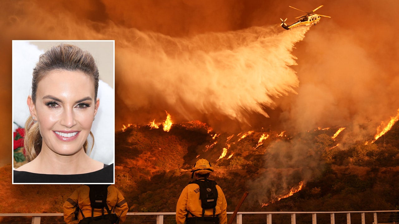 Hollywood actress calls LA fires 'a disaster', says elected officials aren't doing enough