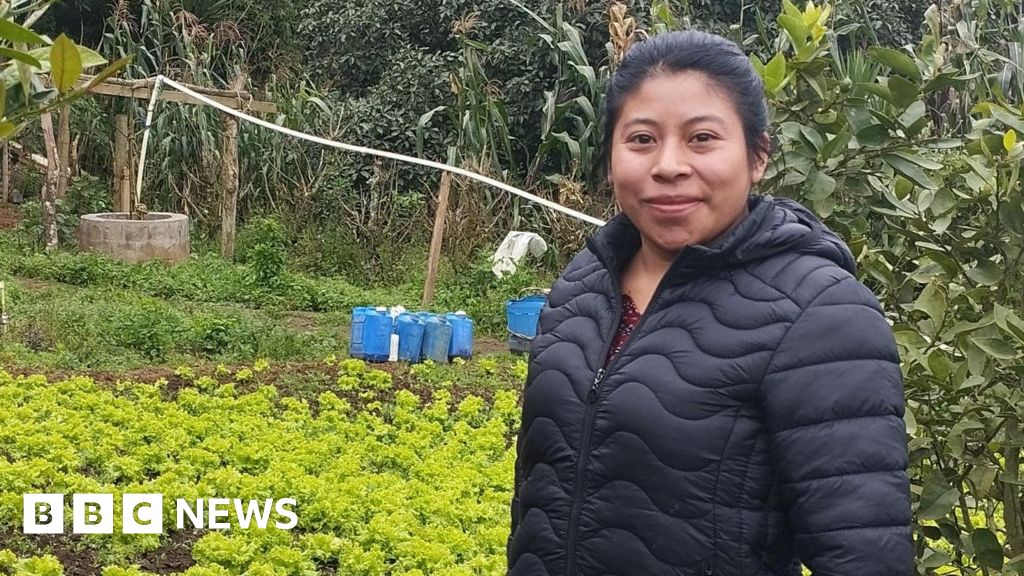 Hope Trump won't take action against legal immigrant workers