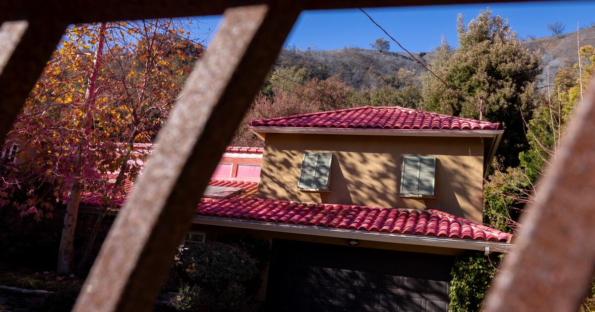 How to Get Rid of Wildfire Smoke Smells from Your Home