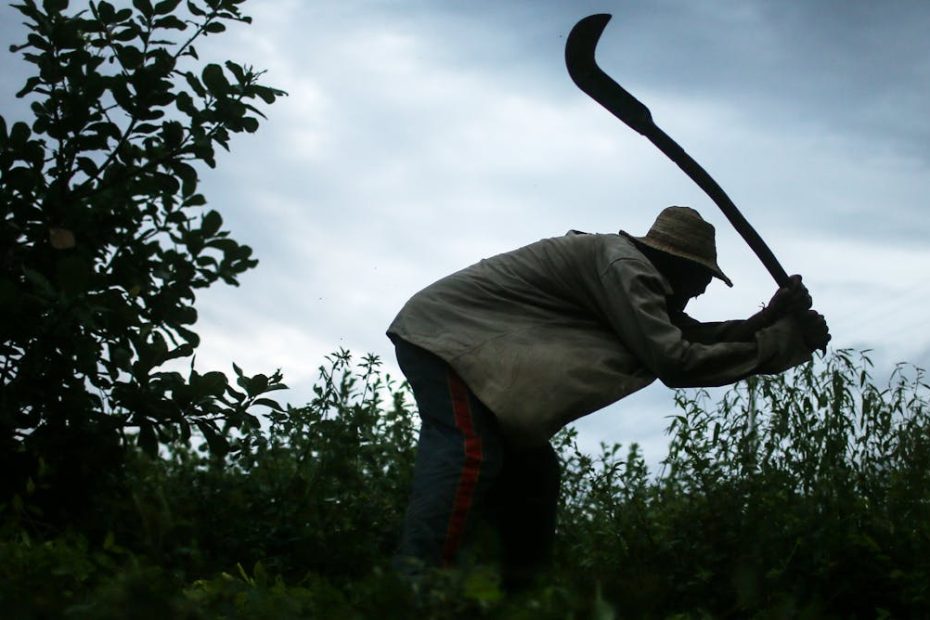 I research modern slavery - here's what I learned about how slaves try to justify their actions
