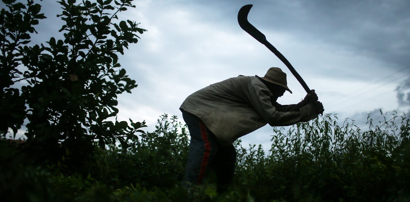 I research modern slavery – here's what I learned about how slaves try to justify their actions