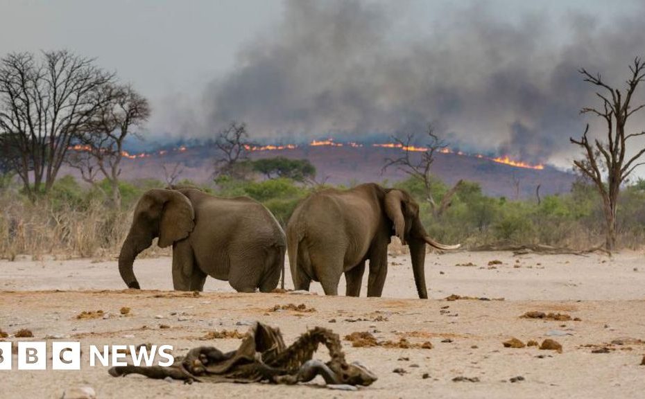 IPBES report sees climate, nature and food challenges as interconnected