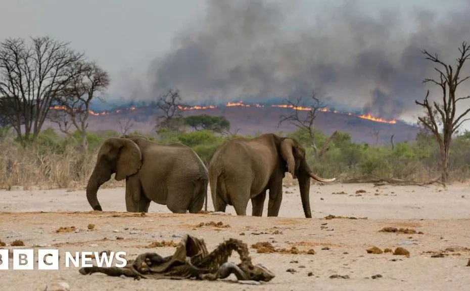IPBES report sees climate, nature and food challenges as interconnected
