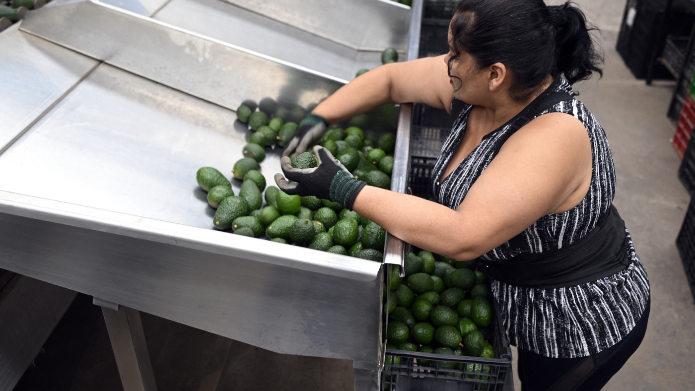 If the tariffs imported from Mexico and Canada started on Saturday, they are worried that the price is higher: NPR