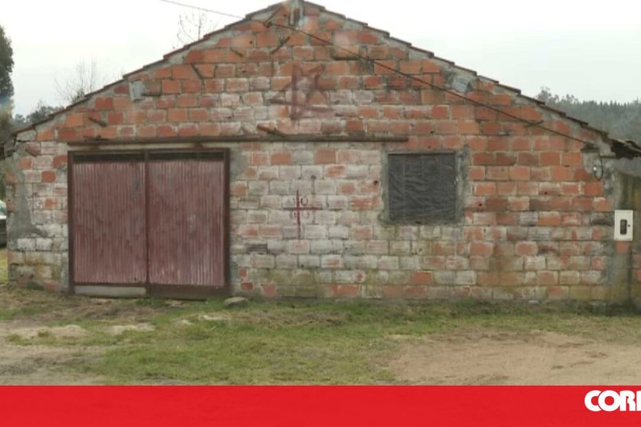 Incêndio na granja Castel Branco, em Portugal, mata 15 mil aves