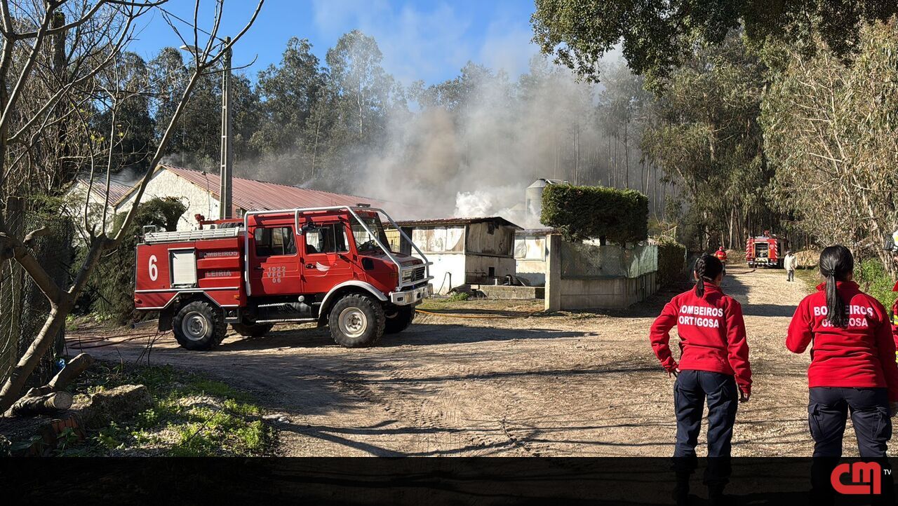 Incêndio na quinta de Leiria mata 10 mil coelhos – Vídeo